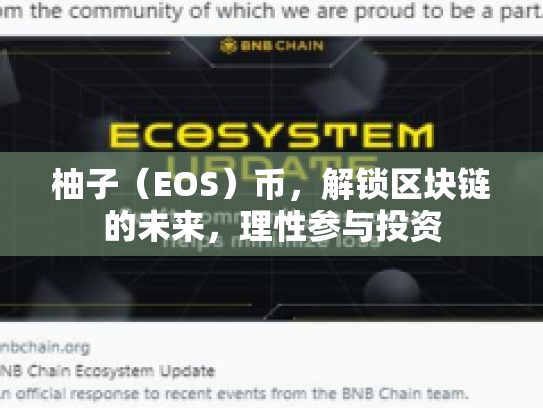 柚子(EOS)币,解锁区块链的未来,理性参与投资 柚子(EOS)币,解锁区块链的未来,理性参与投资