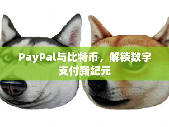 PayPal与比特币,解锁数字支付新纪元 PayPal与比特币,解锁数字支付新纪元