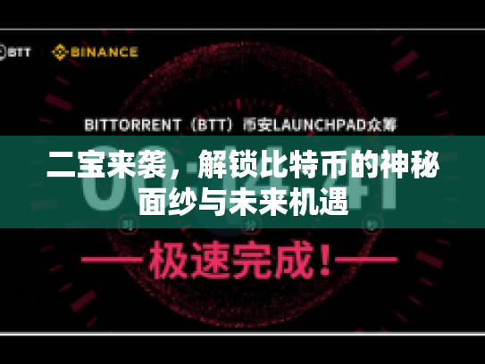 二宝来袭，解锁比特币的神秘面纱与未来机遇