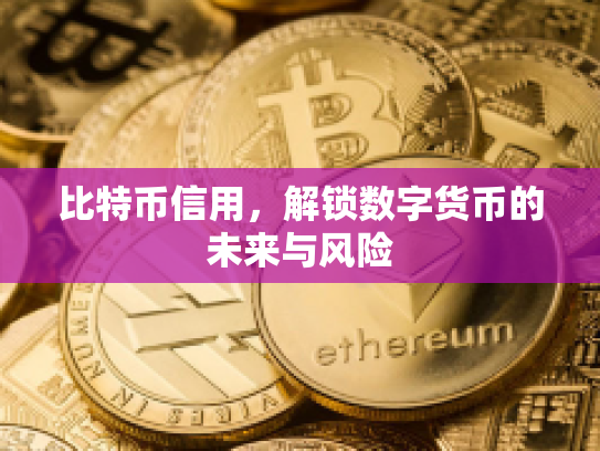 比特币信用，解锁数字货币的未来与风险