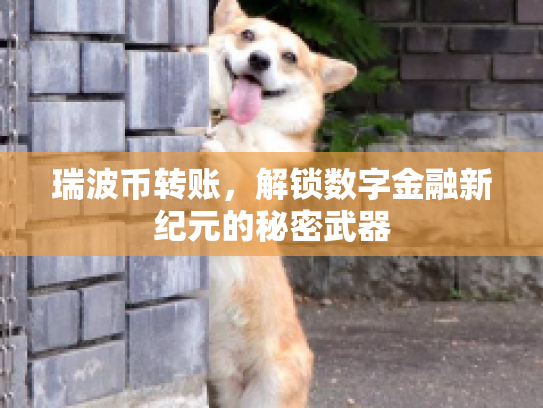 瑞波币转账，解锁数字金融新纪元的秘密武器