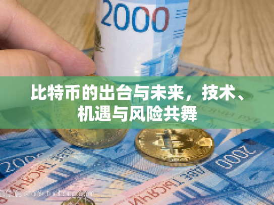 比特币的出台与未来，技术、机遇与风险共舞