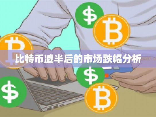 比特币减半后的市场跌幅分析 比特币减半后的市场跌幅分析