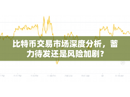比特币交易市场深度分析,蓄力待发还是风险加剧? 比特币交易市场深度分析,蓄力待发还是风险加剧?