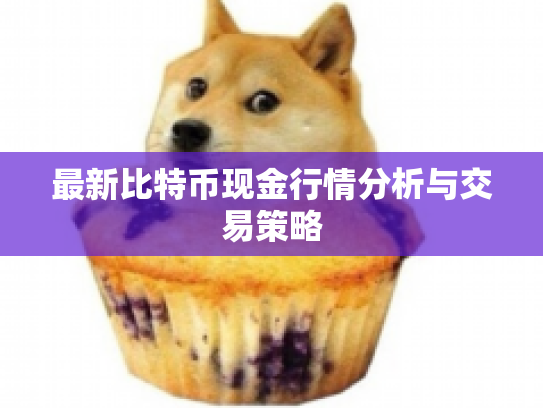 最新比特币现金行情分析与交易策略