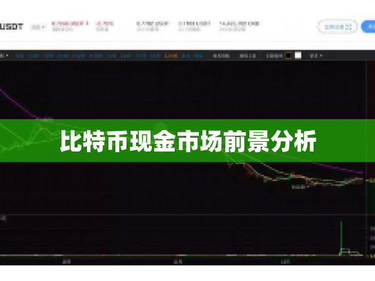 比特币现金市场前景分析