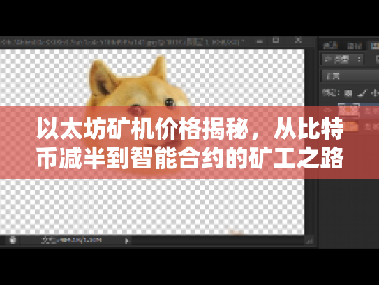 以太坊矿机价格揭秘，从比特币减半到智能合约的矿工之路