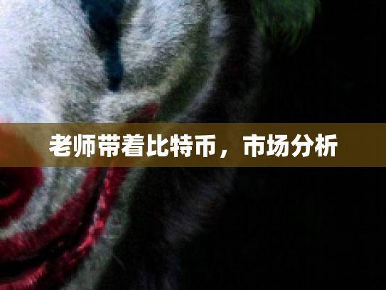 老师带着比特币，市场分析