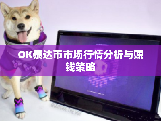 OK泰达币市场行情分析与赚钱策略 OK泰达币市场行情分析与赚钱策略