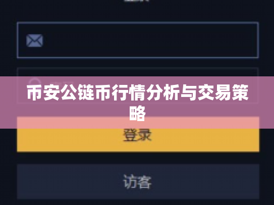 币安公链币行情分析与交易策略