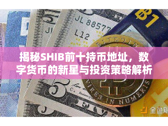 揭秘SHIB前十持币地址,数字货币的新星与投资策略解析 揭秘SHIB前十持币地址,数字货币的新星与投资策略解析