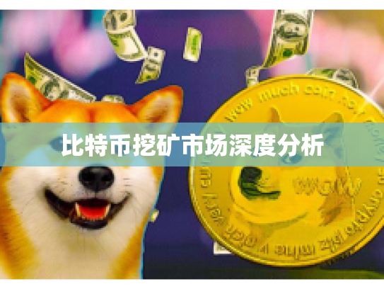 比特币挖矿市场深度分析