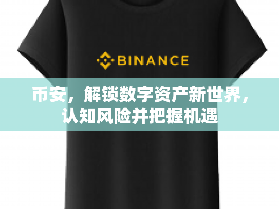 币安,解锁数字资产新世界,认知风险并把握机遇 币安,解锁数字资产新世界,认知风险并把握机遇
