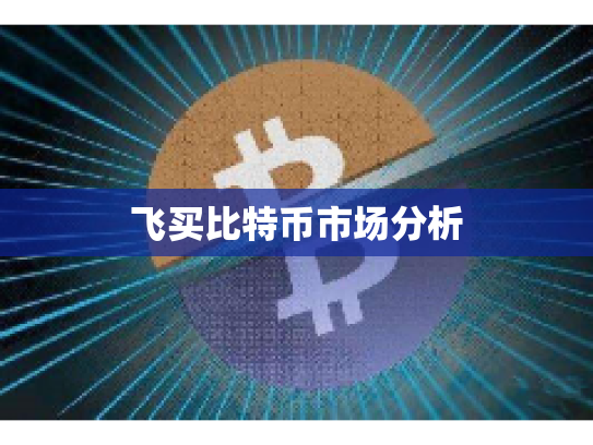 飞买比特币市场分析