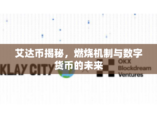 艾达币揭秘，燃烧机制与数字货币的未来