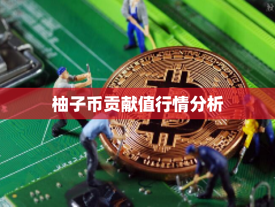 柚子币贡献值行情分析