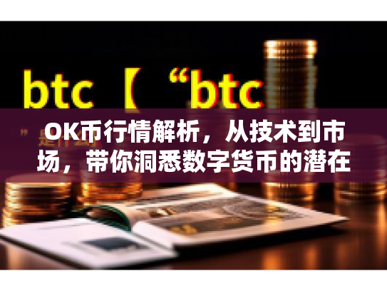 OK币行情解析，从技术到市场，带你洞悉数字货币的潜在机遇与风险