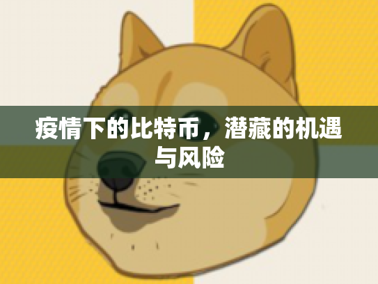 疫情下的比特币,潜藏的机遇与风险 疫情下的比特币,潜藏的机遇与风险