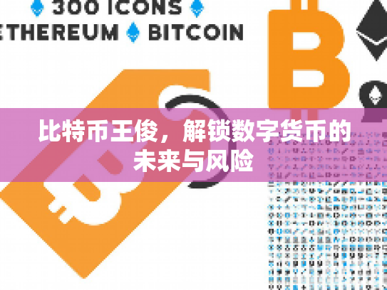 比特币王俊,解锁数字货币的未来与风险 比特币王俊,解锁数字货币的未来与风险