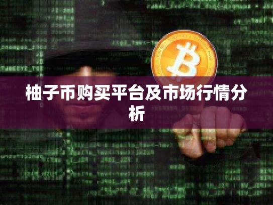 柚子币购买平台及市场行情分析 柚子币购买平台及市场行情分析