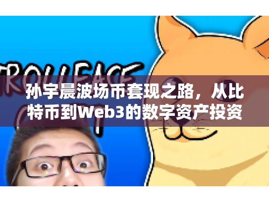 孙宇晨波场币套现之路,从比特币到Web3的数字资产投资策略 孙宇晨波场币套现之路,从比特币到Web3的数字资产投资策略
