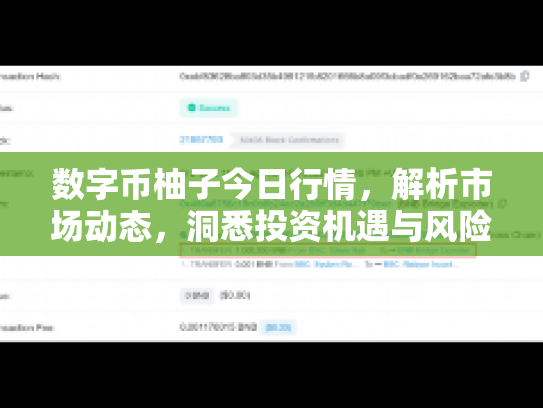 数字币柚子今日行情,解析市场动态,洞悉投资机遇与风险 数字币柚子今日行情,解析市场动态,洞悉投资机遇与风险