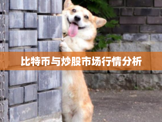比特币与炒股市场行情分析