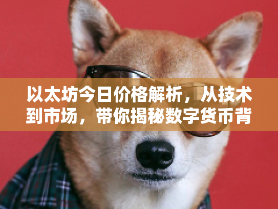 以太坊今日价格解析，从技术到市场，带你揭秘数字货币背后的机遇与风险