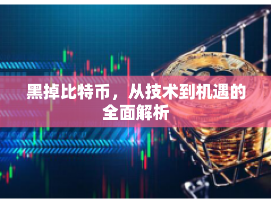 黑掉比特币,从技术到机遇的全面解析 黑掉比特币,从技术到机遇的全面解析