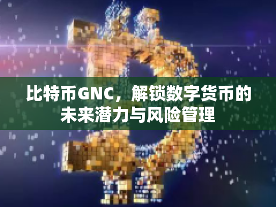 比特币GNC,解锁数字货币的未来潜力与风险管理 比特币GNC,解锁数字货币的未来潜力与风险管理