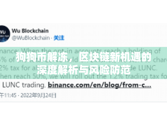 狗狗币解冻,区块链新机遇的深度解析与风险防范 狗狗币解冻,区块链新机遇的深度解析与风险防范