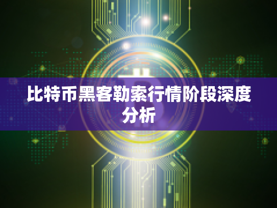 比特币黑客勒索行情阶段深度分析 比特币黑客勒索行情阶段深度分析