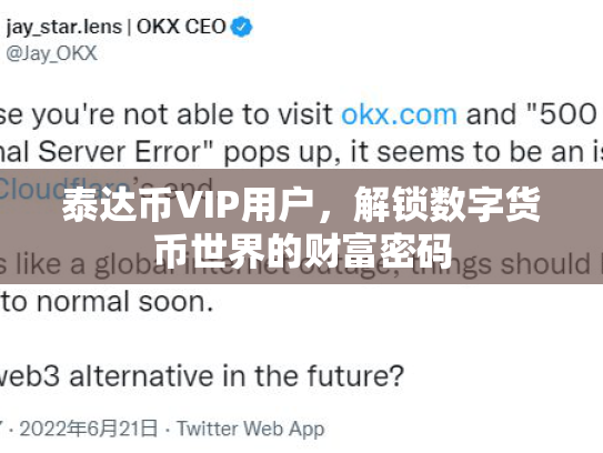 泰达币VIP用户,解锁数字货币世界的财富密码 泰达币VIP用户,解锁数字货币世界的财富密码