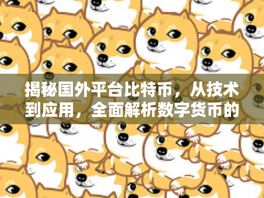 揭秘国外平台比特币,从技术到应用,全面解析数字货币的潜力与风险 揭秘国外平台比特币,从技术到应用,全面解析数字货币的潜力与风险