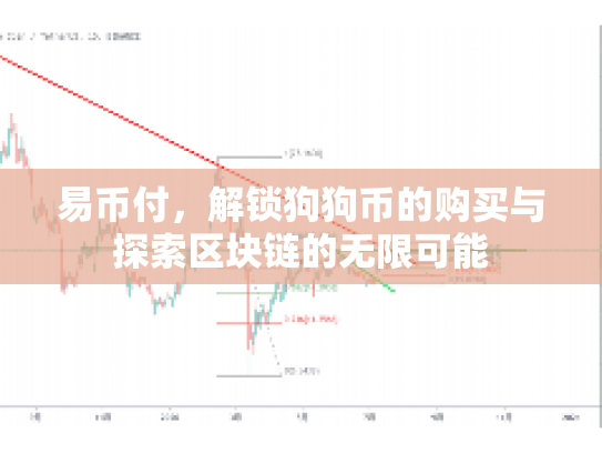 易币付,解锁狗狗币的购买与探索区块链的无限可能 易币付,解锁狗狗币的购买与探索区块链的无限可能