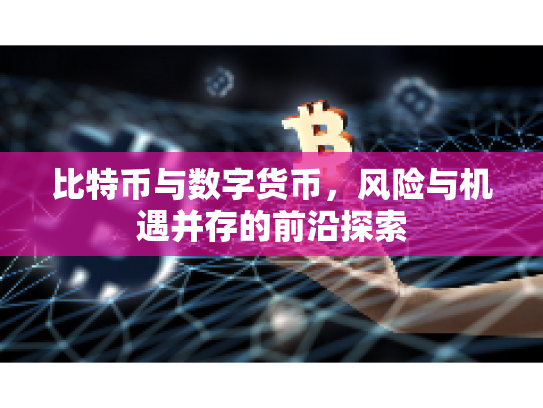 比特币与数字货币,风险与机遇并存的前沿探索 比特币与数字货币,风险与机遇并存的前沿探索