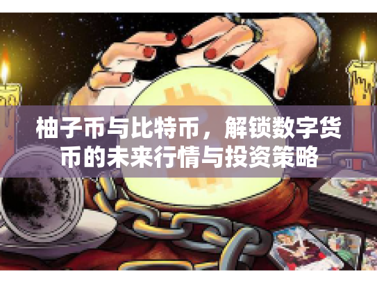柚子币与比特币,解锁数字货币的未来行情与投资策略 柚子币与比特币,解锁数字货币的未来行情与投资策略
