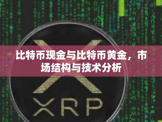 比特币现金与比特币黄金，市场结构与技术分析