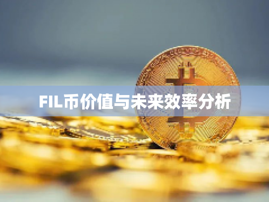 FIL币价值与未来效率分析