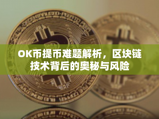 OK币提币难题解析，区块链技术背后的奥秘与风险