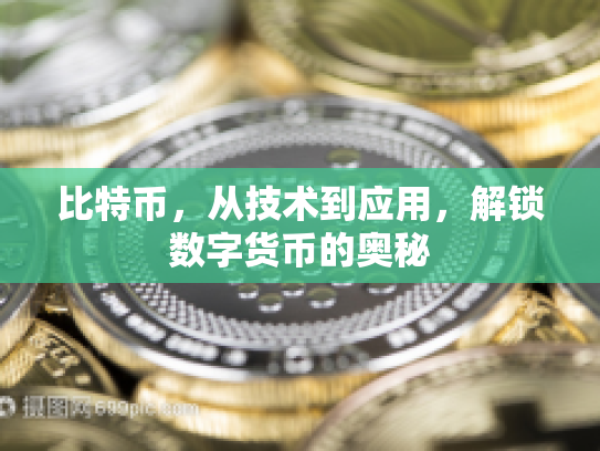 比特币，从技术到应用，解锁数字货币的奥秘