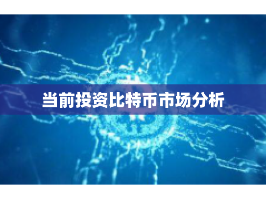 当前投资比特币市场分析