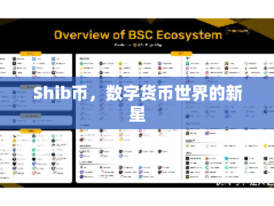 Shib币,数字货币世界的新星 Shib币,数字货币世界的新星