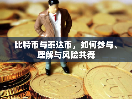比特币与泰达币，如何参与、理解与风险共舞