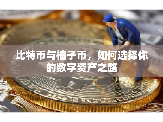 比特币与柚子币，如何选择你的数字资产之路
