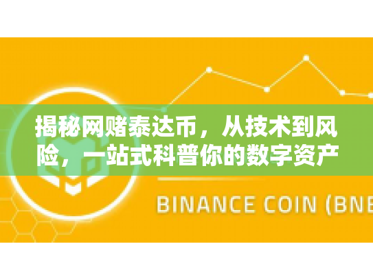 揭秘网赌泰达币，从技术到风险，一站式科普你的数字资产之旅