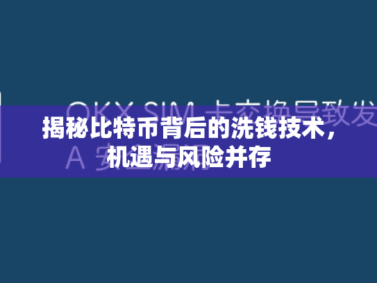 揭秘比特币背后的洗钱技术,机遇与风险并存 揭秘比特币背后的洗钱技术,机遇与风险并存