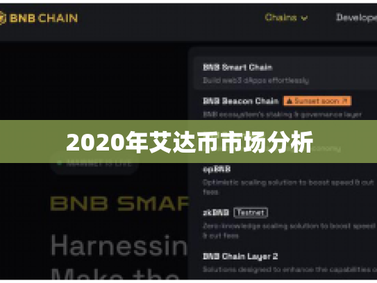 2020年艾达币市场分析 2020年艾达币市场分析