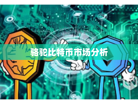 骆驼比特币市场分析