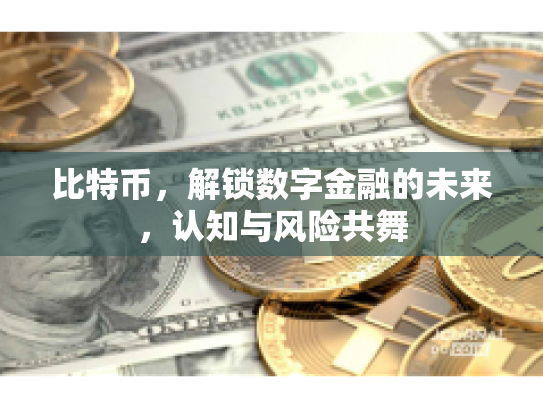 比特币，解锁数字金融的未来，认知与风险共舞